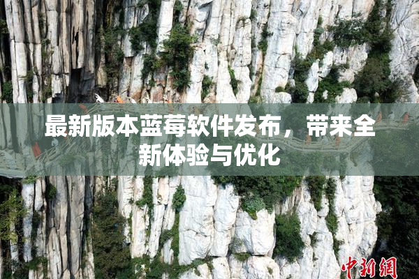 最新版本蓝莓软件发布，带来全新体验与优化