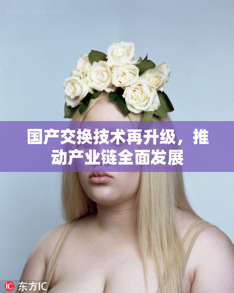 国产交换技术再升级，推动产业链全面发展