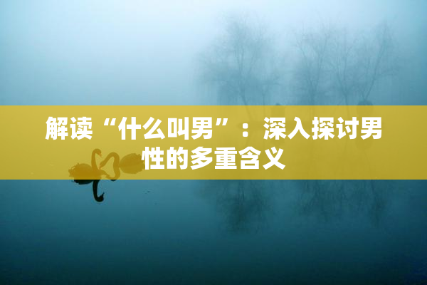 解读“什么叫男”：深入探讨男性的多重含义