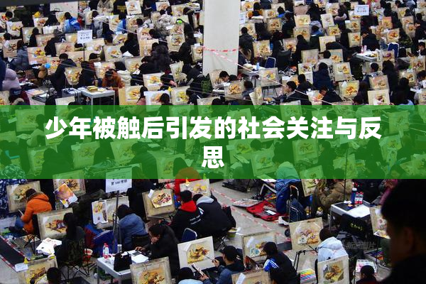 少年被触后引发的社会关注与反思