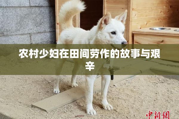 农村少妇在田间劳作的故事与艰辛
