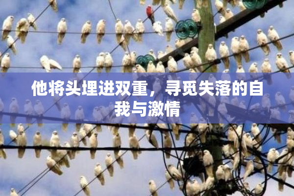 他将头埋进双重，寻觅失落的自我与激情