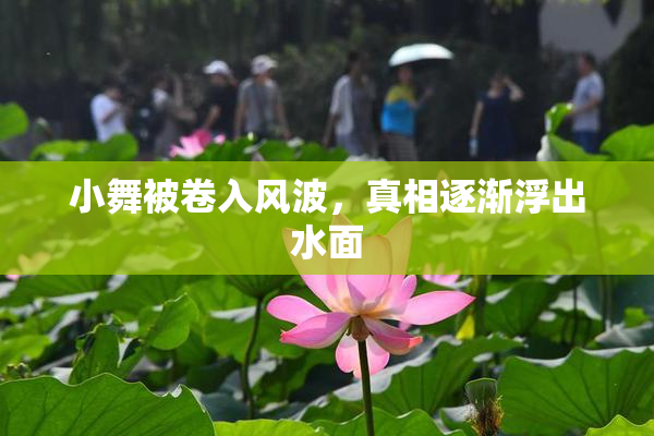 小舞被卷入风波，真相逐渐浮出水面