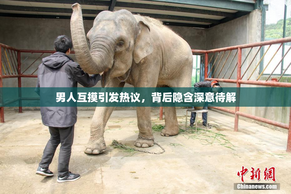 男人互摸引发热议，背后隐含深意待解