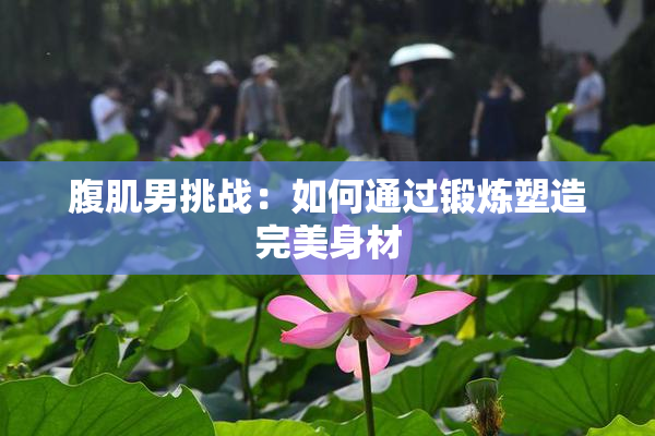 腹肌男挑战：如何通过锻炼塑造完美身材
