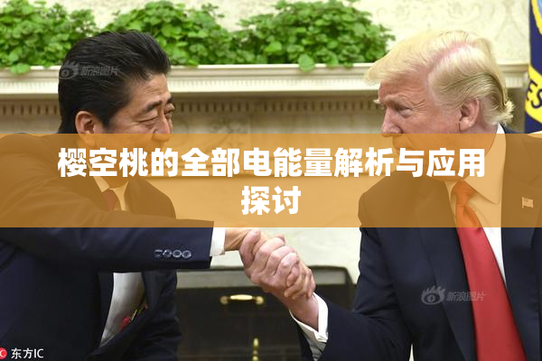 樱空桃的全部电能量解析与应用探讨