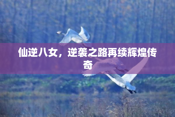 仙逆八女，逆袭之路再续辉煌传奇