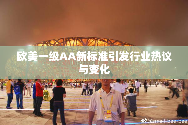 欧美一级AA新标准引发行业热议与变化