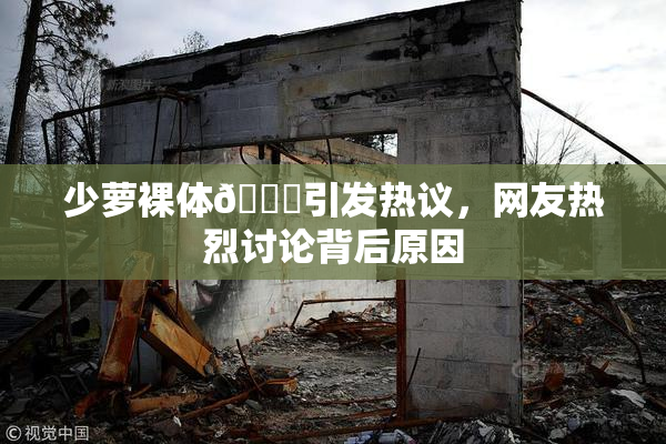 少萝裸体🔞引发热议，网友热烈讨论背后原因
