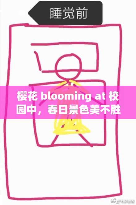 樱花 blooming at 校园中，春日景色美不胜收