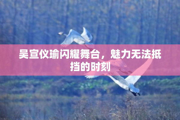 吴宣仪瑜闪耀舞台，魅力无法抵挡的时刻