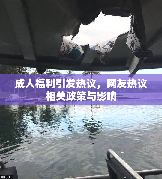 成人福利引发热议，网友热议相关政策与影响