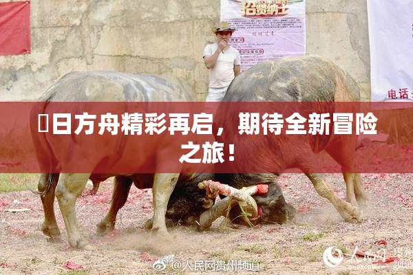 眀日方舟精彩再启，期待全新冒险之旅！