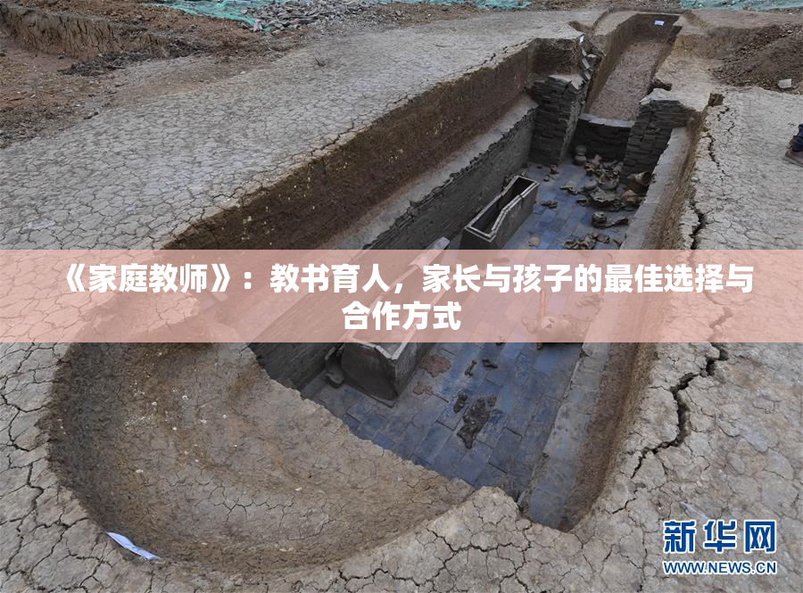 《家庭教师》：教书育人，家长与孩子的最佳选择与合作方式