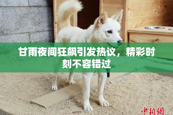 甘雨夜间狂飙引发热议，精彩时刻不容错过