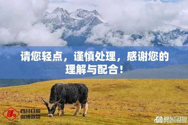 请您轻点，谨慎处理，感谢您的理解与配合！
