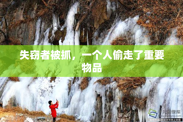 失窃者被抓，一个人偷走了重要物品