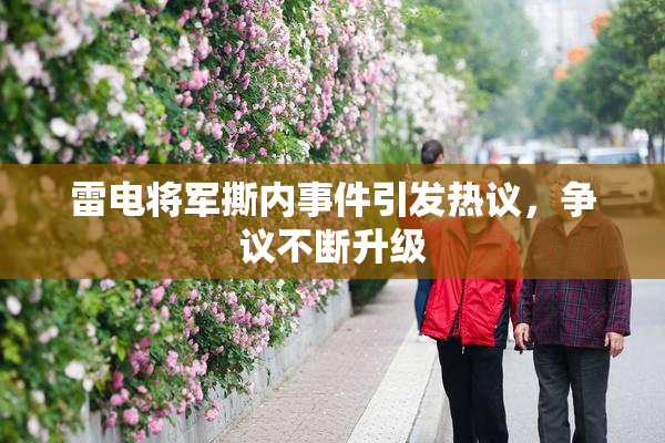 雷电将军撕内事件引发热议，争议不断升级