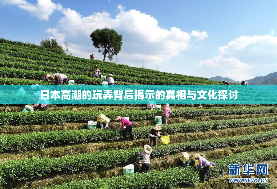 日本高潮的玩弄背后揭示的真相与文化探讨