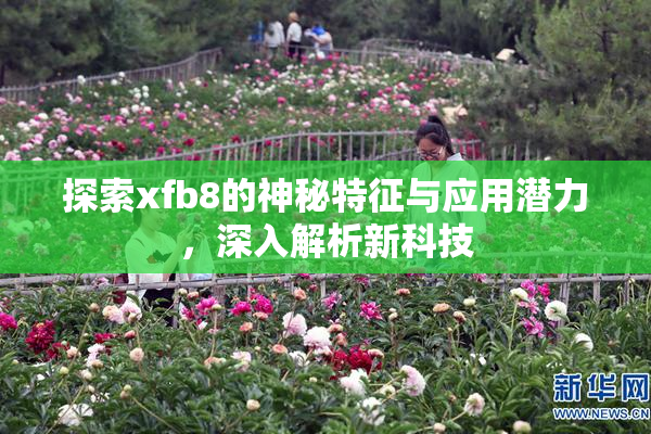 探索xfb8的神秘特征与应用潜力，深入解析新科技