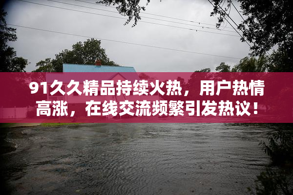 91久久精品持续火热，用户热情高涨，在线交流频繁引发热议！
