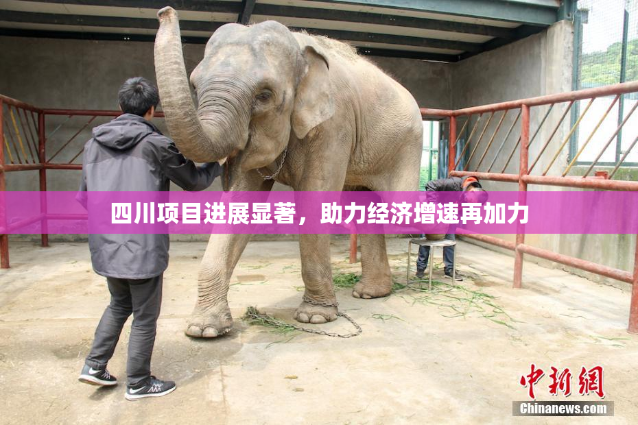 四川项目进展显著，助力经济增速再加力