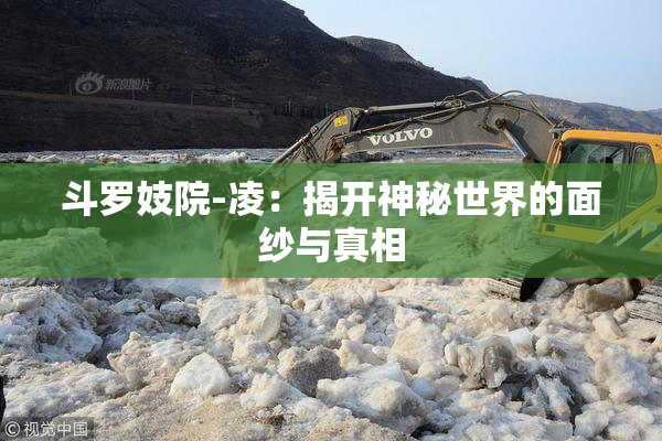 斗罗妓院-凌：揭开神秘世界的面纱与真相