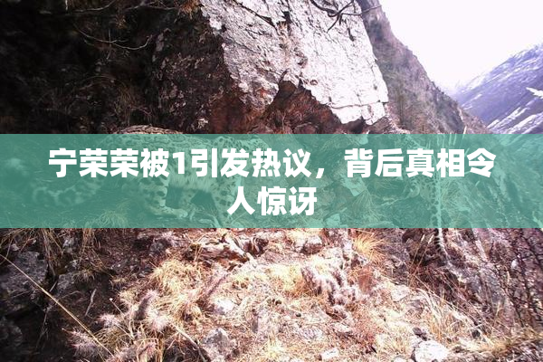 宁荣荣被1引发热议，背后真相令人惊讶