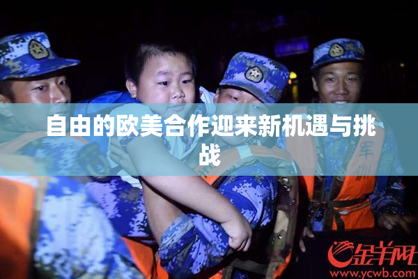 自由的欧美合作迎来新机遇与挑战