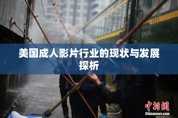 美国成人影片行业的现状与发展探析