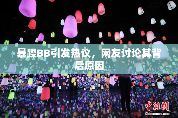 暴躁BB引发热议，网友讨论其背后原因