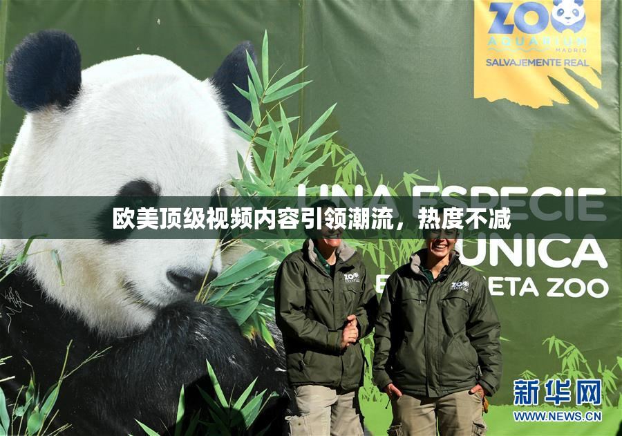 欧美顶级视频内容引领潮流，热度不减