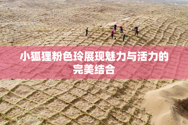 小狐狸粉色玲展现魅力与活力的完美结合
