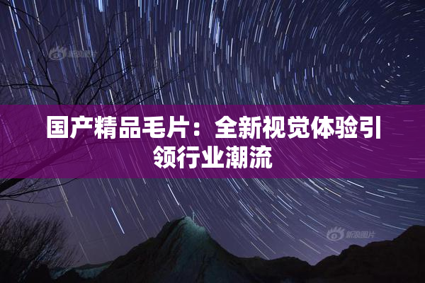 国产精品毛片：全新视觉体验引领行业潮流