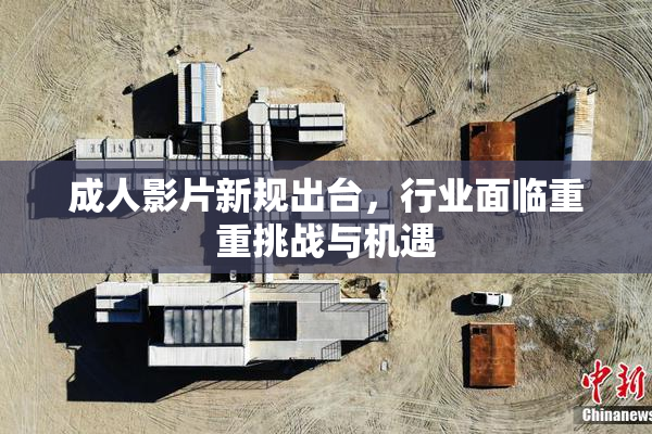 成人影片新规出台，行业面临重重挑战与机遇