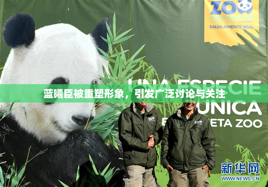 蓝曦臣被重塑形象，引发广泛讨论与关注