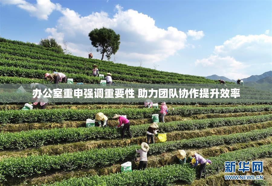 办公室重申强调重要性 助力团队协作提升效率