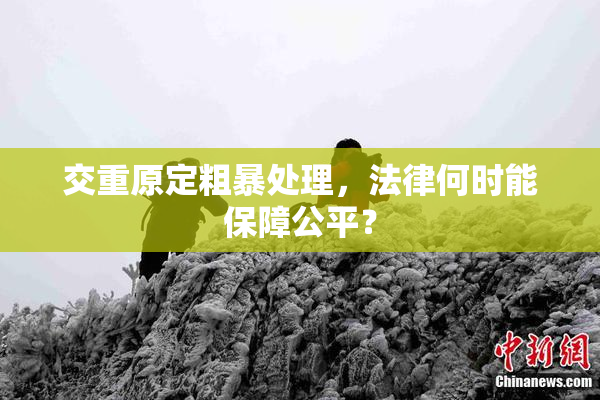 交重原定粗暴处理，法律何时能保障公平？