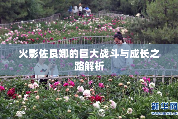 火影佐良娜的巨大战斗与成长之路解析
