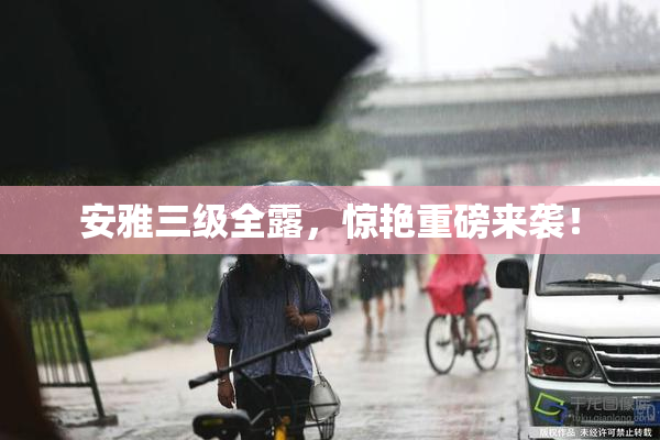 安雅三级全露，惊艳重磅来袭！