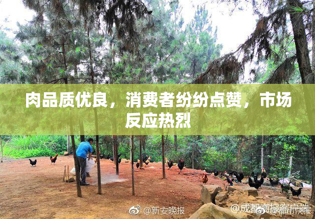 肉品质优良，消费者纷纷点赞，市场反应热烈