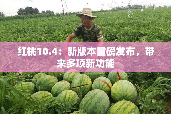 红桃10.4：新版本重磅发布，带来多项新功能