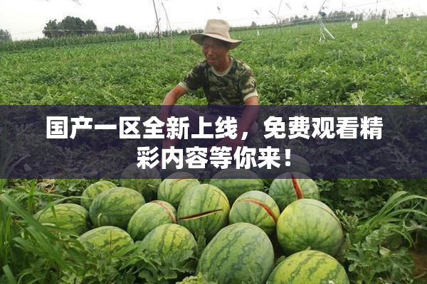 国产一区全新上线，免费观看精彩内容等你来！