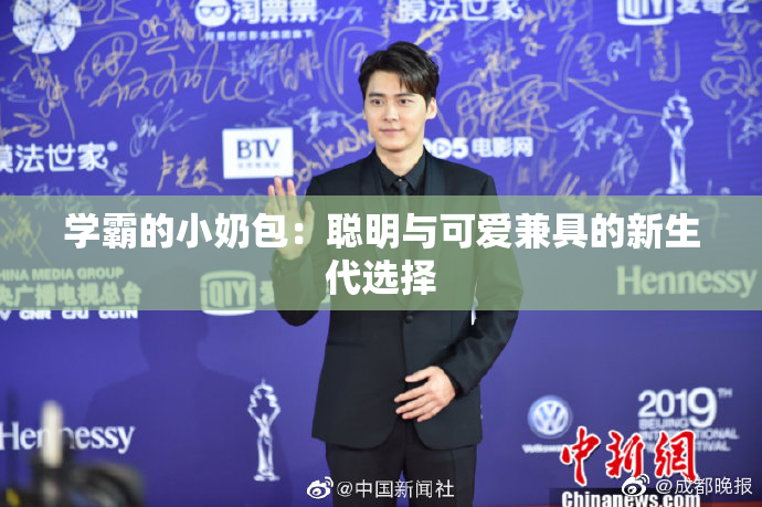 学霸的小奶包：聪明与可爱兼具的新生代选择