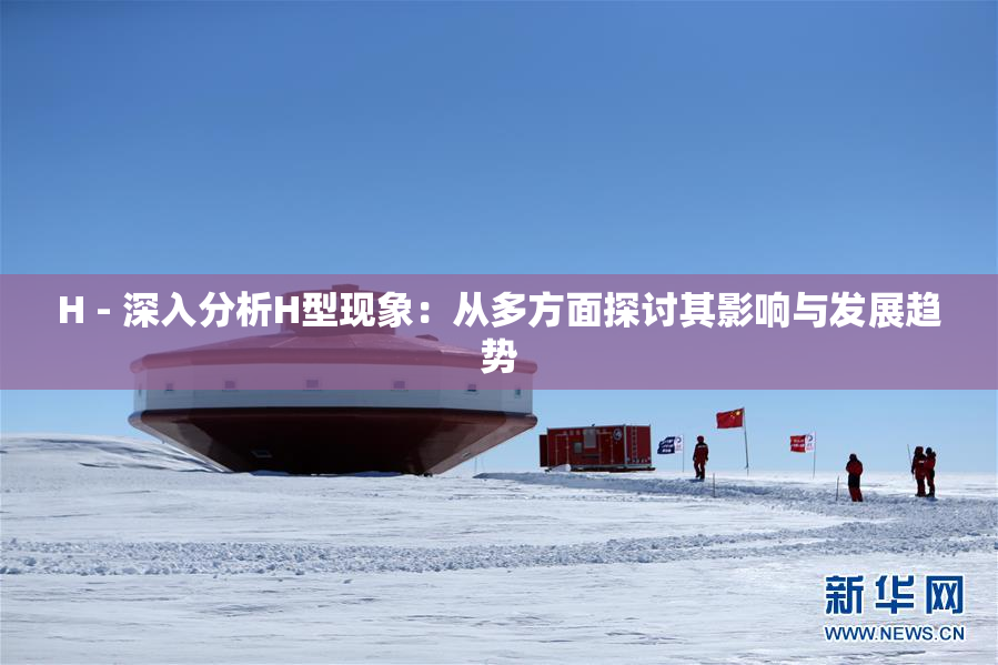H - 深入分析H型现象：从多方面探讨其影响与发展趋势