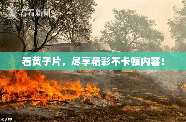 看黄子片，尽享精彩不卡顿内容！