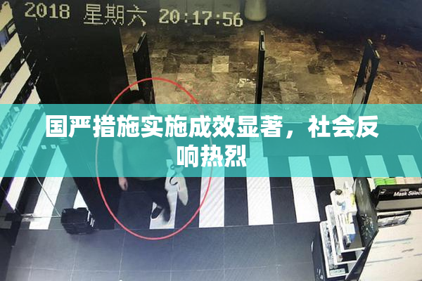 国严措施实施成效显著，社会反响热烈