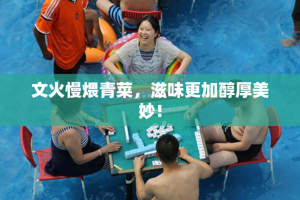 文火慢煨青菜，滋味更加醇厚美妙！