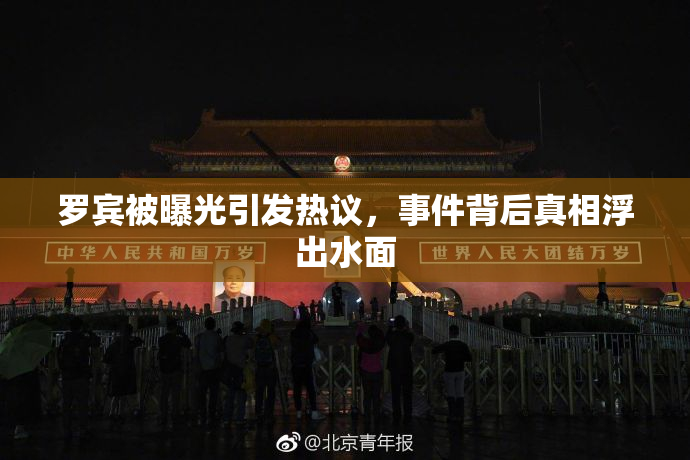 罗宾被曝光引发热议，事件背后真相浮出水面