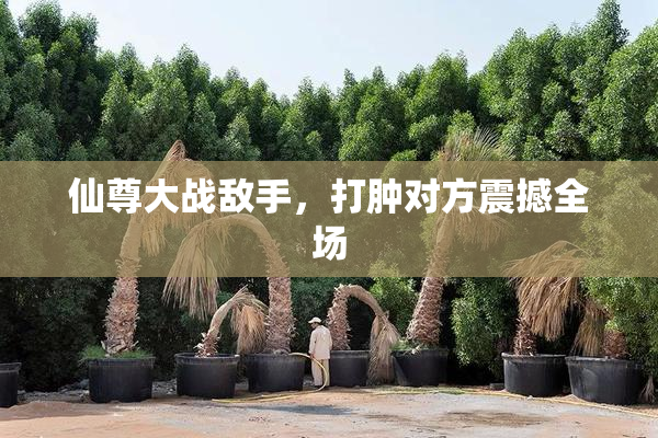仙尊大战敌手，打肿对方震撼全场